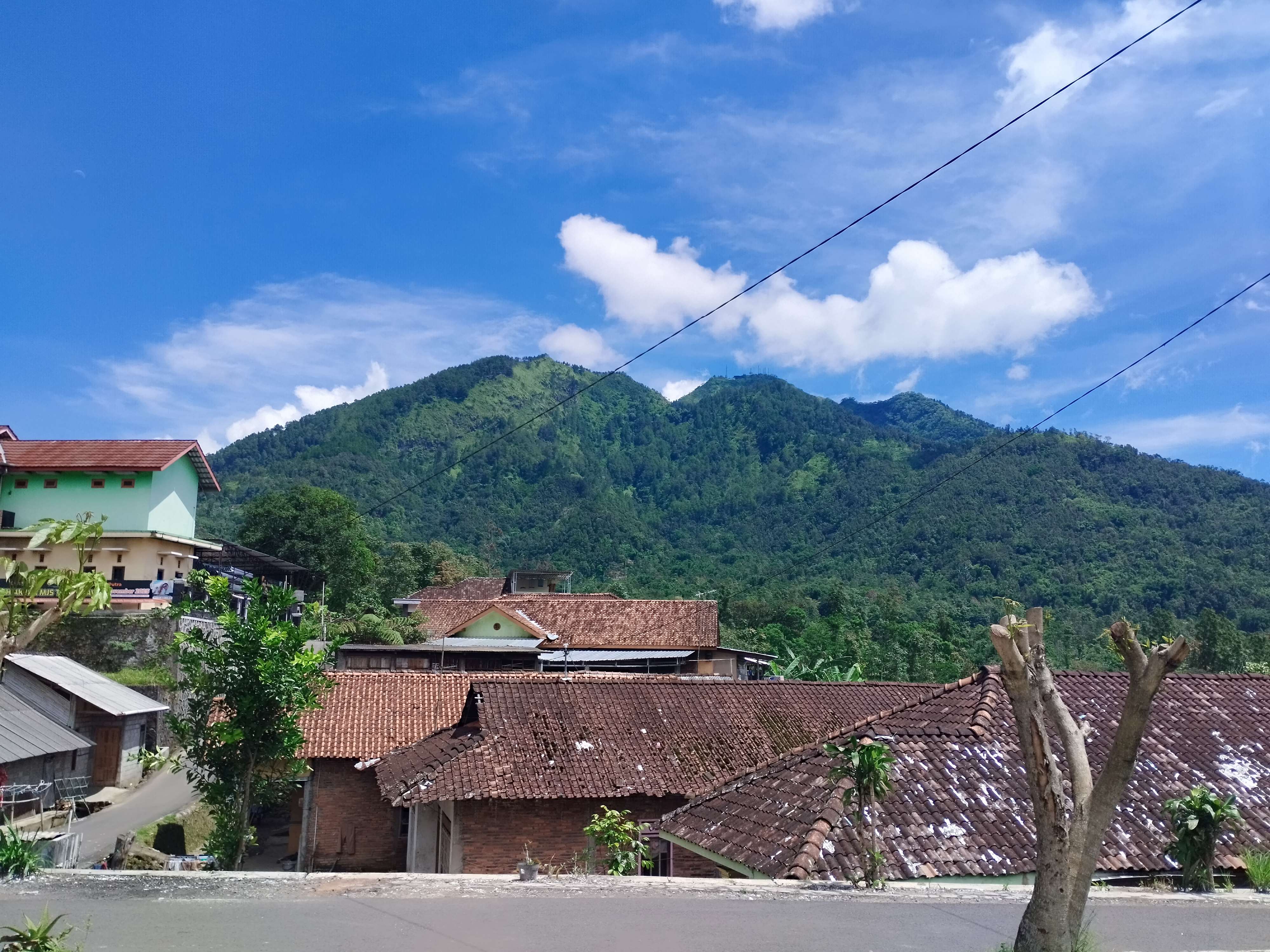 Pemangdangan Telomoyo